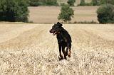 BEAUCERON 760